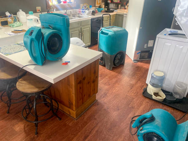 Best Water damage restoration near me  in Norwood, NY