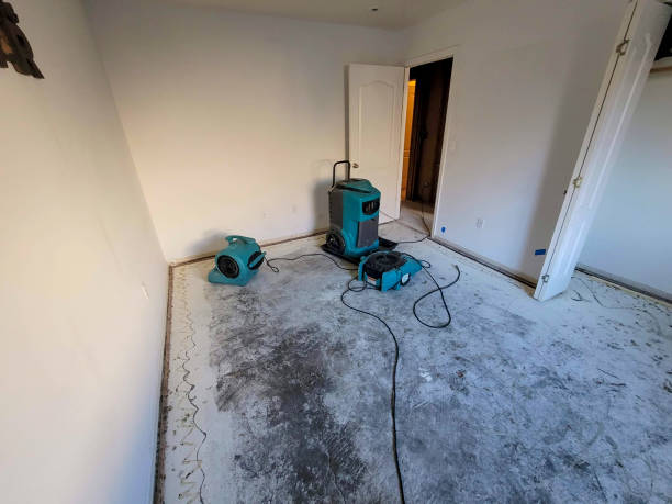 Best 24-hour water damage restoration  in Norwood, NY