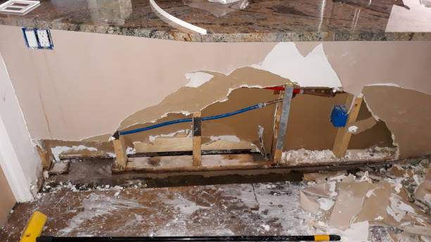 Best Water damage contractors near me  in Norwood, NY