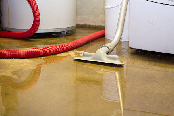 Best Sewage cleanup and water damage restoration  in Norwood, NY