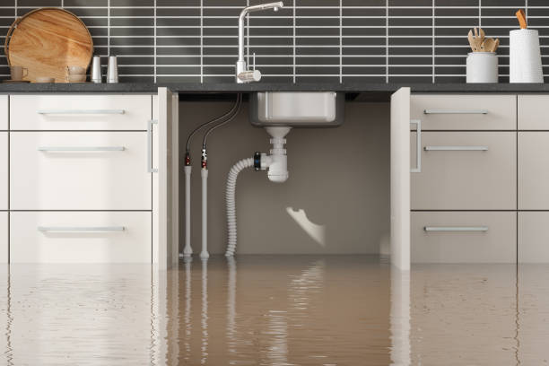 Best Professional water damage repair  in Norwood, NY