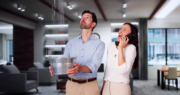 Best 24/7 water damage repair  in Norwood, NY